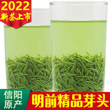 新茶初芽信阳毛尖2022新茶明前特级嫩芽散装茶叶绿茶手工春茶250g