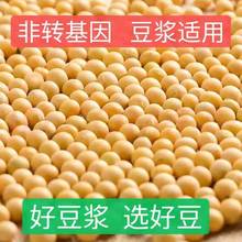 黄豆豆浆专用东北农家自种大豆生发豆芽10克/5斤批发