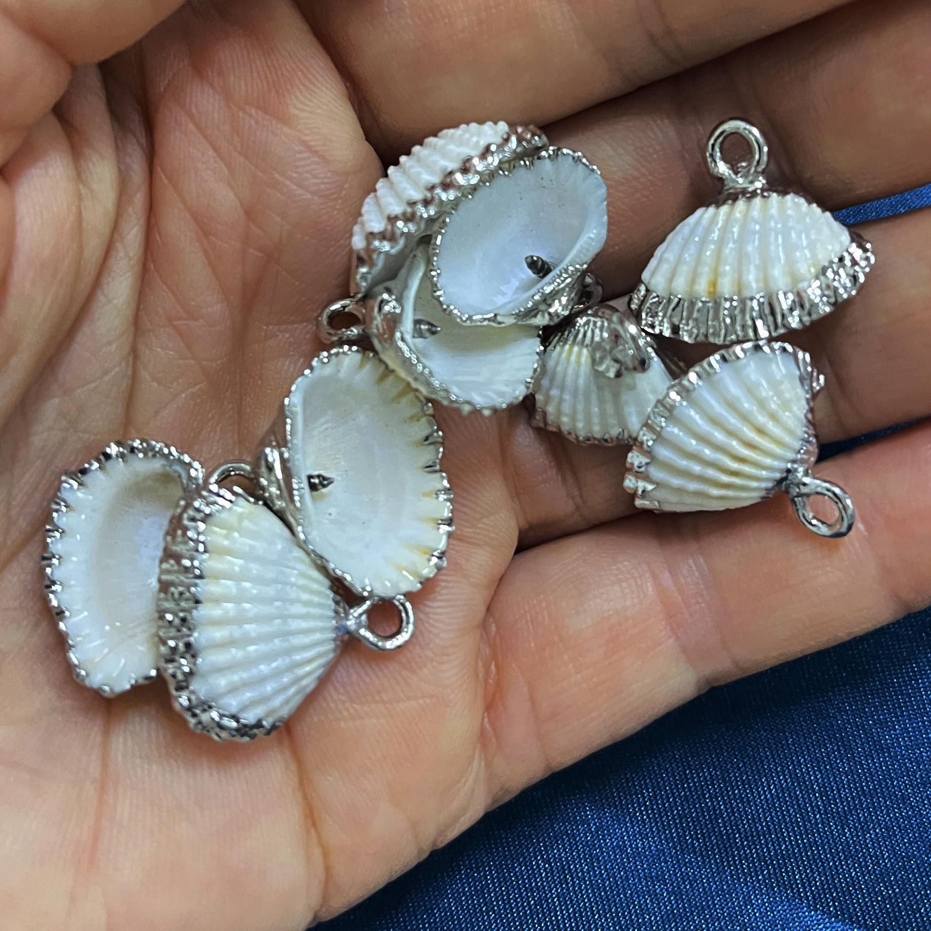 超小迷你小贝壳耳环吊坠 diy金边扇贝耳环挂件 镶金边海螺饰品