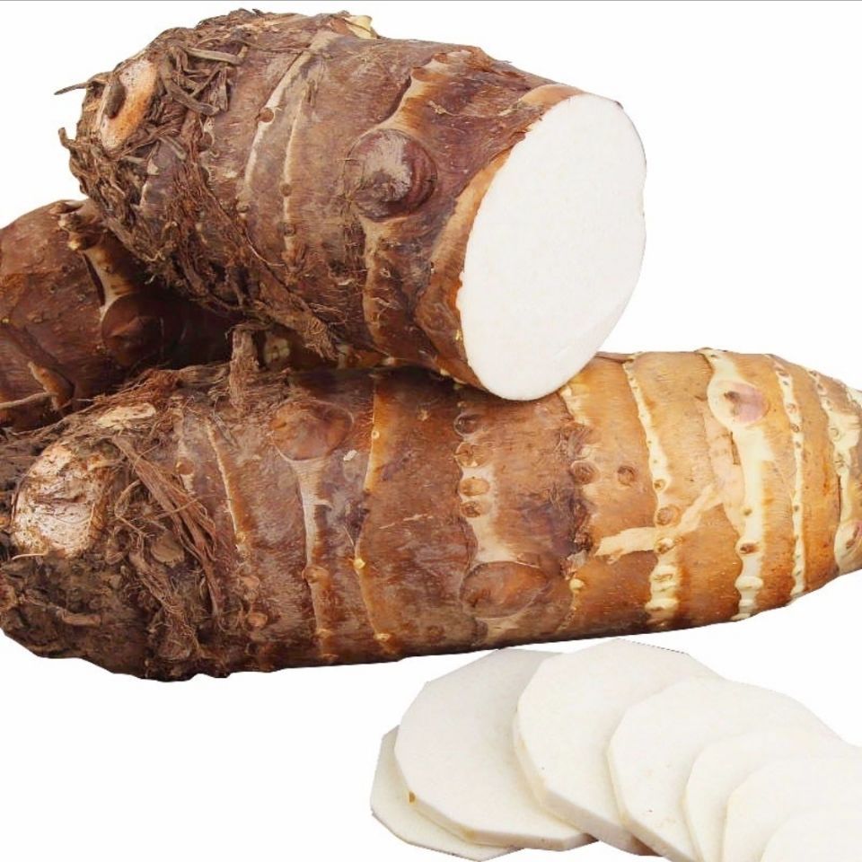 四川农家好吃香糯面人头芋非荔浦芋非槟榔芋新鲜现挖香芋批发芋种