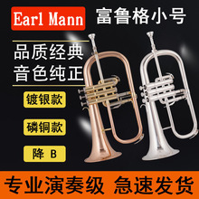 伊尔曼EarlMann降B调富鲁格号小号乐器磷铜款 镀银款初学演奏考级