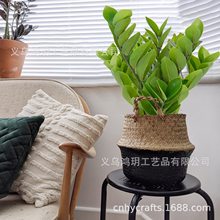 仿真假人造盆栽植物 43.18厘米现代装饰植物浴室办公桌卧室美学架