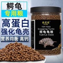 纯佛爆刺佛鳄小鳄龟苗便宜活物大乌龟食用鳄鱼龟幼苗活草龟巴西