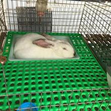 母兔产仔窝兔子产箱兔用产仔箱塑料包边内置防啃咬兔笼产箱生产窝