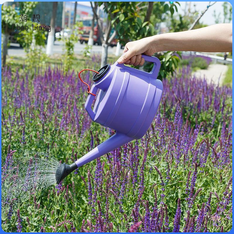 洒水壶大号浇水壶花洒壶长嘴浇水壶浇花浇菜小喷壶家用淋花壶