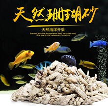 优质珊瑚沙水族过滤材料 珊瑚石 底砂碎 珊瑚砂 鱼缸滤材 珊瑚骨