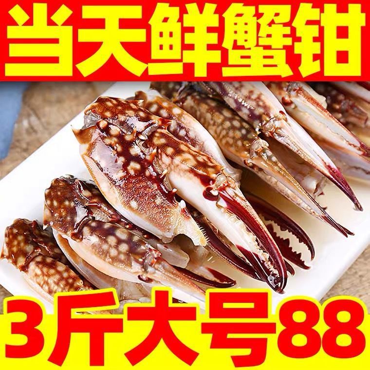 新鲜梭子蟹钳冷冻鲜活蟹脚大螃蟹蟹脚批发批发价大号冰冻梭子蟹钳