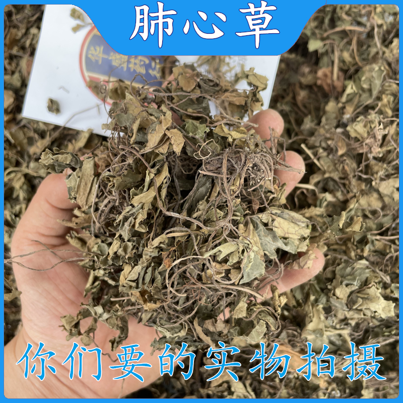 亳州中药材批 发肺心草 中药材 野生正品 肺经草另有鹿蹄草鹿衔草