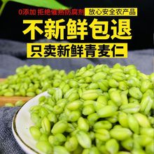 【坏单包赔】23农家自产新鲜青麦仁小麦粒煮粥青稞粗粮速冻小青麦