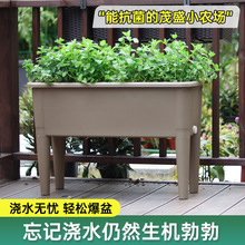 阳台种植箱2023新款种植盆高脚长方形花盆楼顶花箱种菜神器蔬菜菜