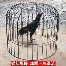 斗鸡罩笼斗鸡方笼子跑笼斗鸡训练笼鸡笼狗笼火鸡笼鹅笼折叠组装