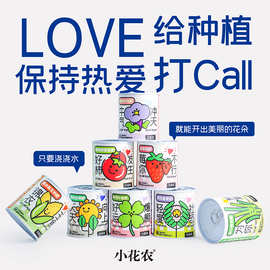 幼儿园儿童种植小盆栽学生迷你水果小盆栽盲盒办公室内桌面绿植物