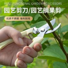 家用果树剪刀修枝神器剪花卉摘果剪树枝剪刀绿化嫁接园林园艺剪刀