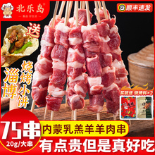 淄博烧烤同款新鲜纯羊肉串大串烤串半成品家庭户外露营食材套餐