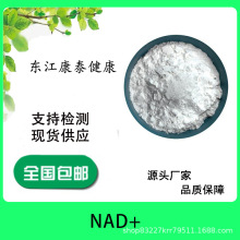 NAD+99% β烟酰胺腺嘌呤二核苷酸 10克/袋 厂家现货 量大优惠