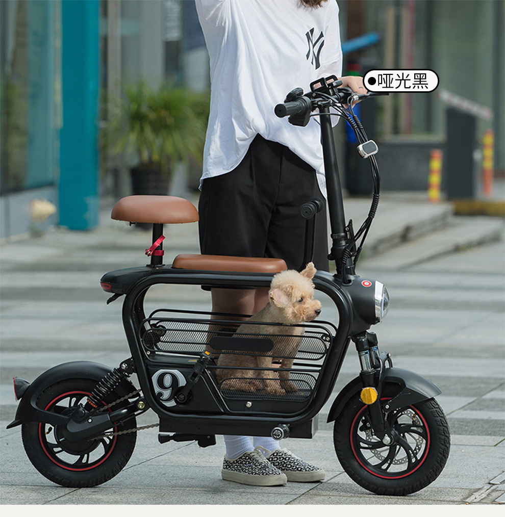 电动车代步购物电动自行车宠物篮48v出口型电动车东南亚越南电动
