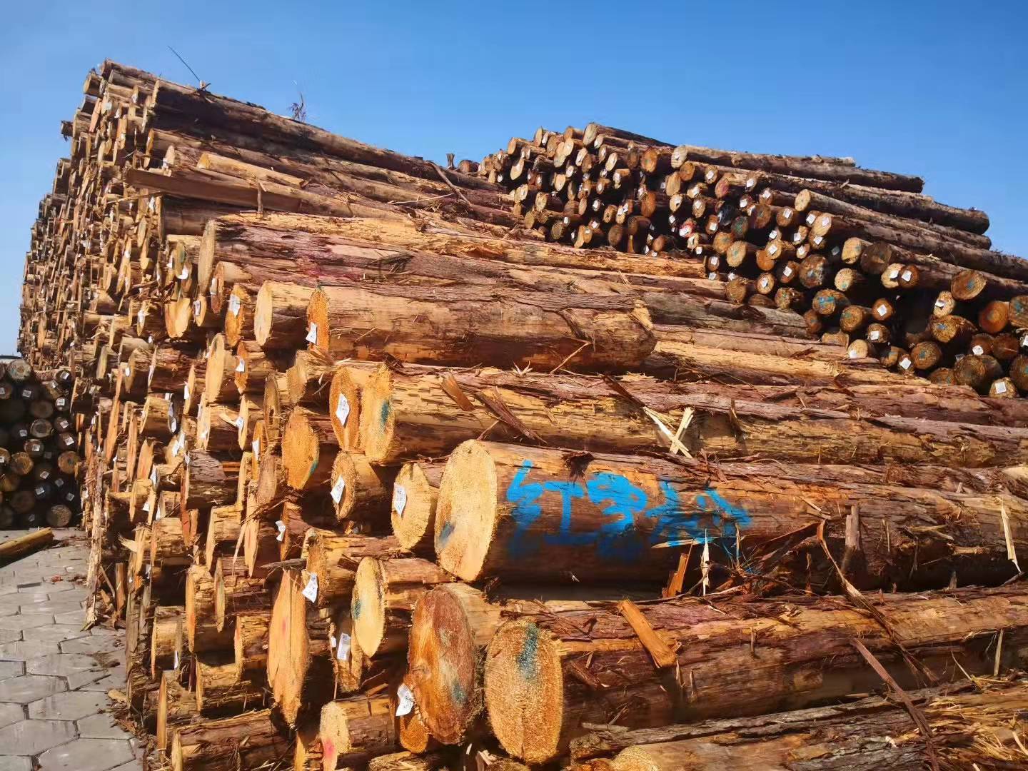 红雪松原木防腐木批发柏木圆柱防腐家具材红雪松板材木方无节材