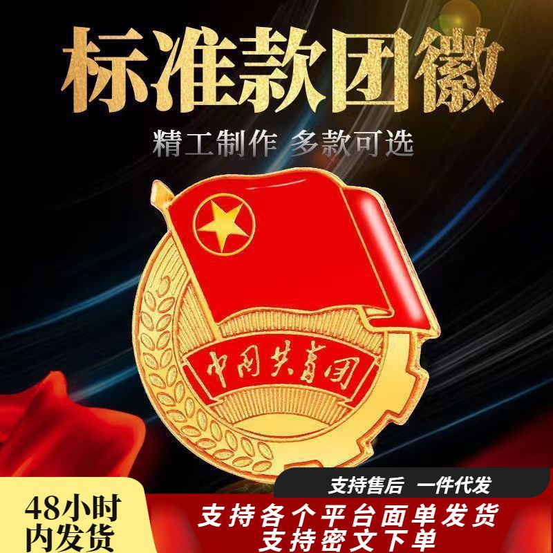 标准型中国共青团团徽团员徽章中央监制学生胸针别针磁铁新版代发