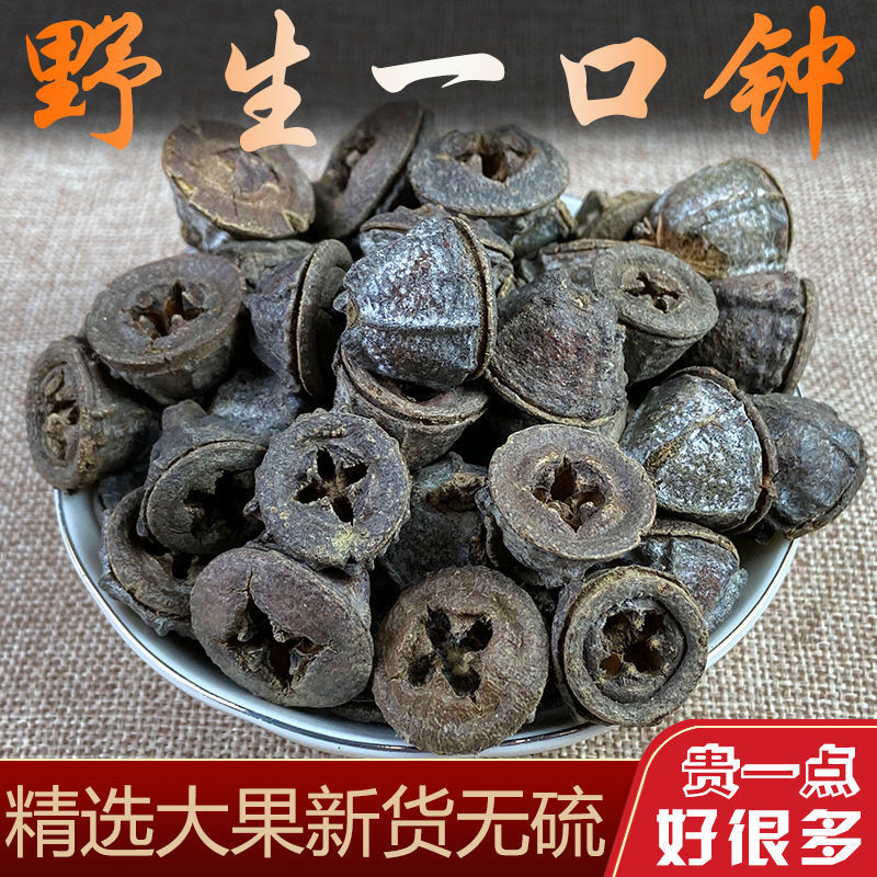 云南一口钟野生中药材精选特级一口盅香辛料白树球扣子七胜利果