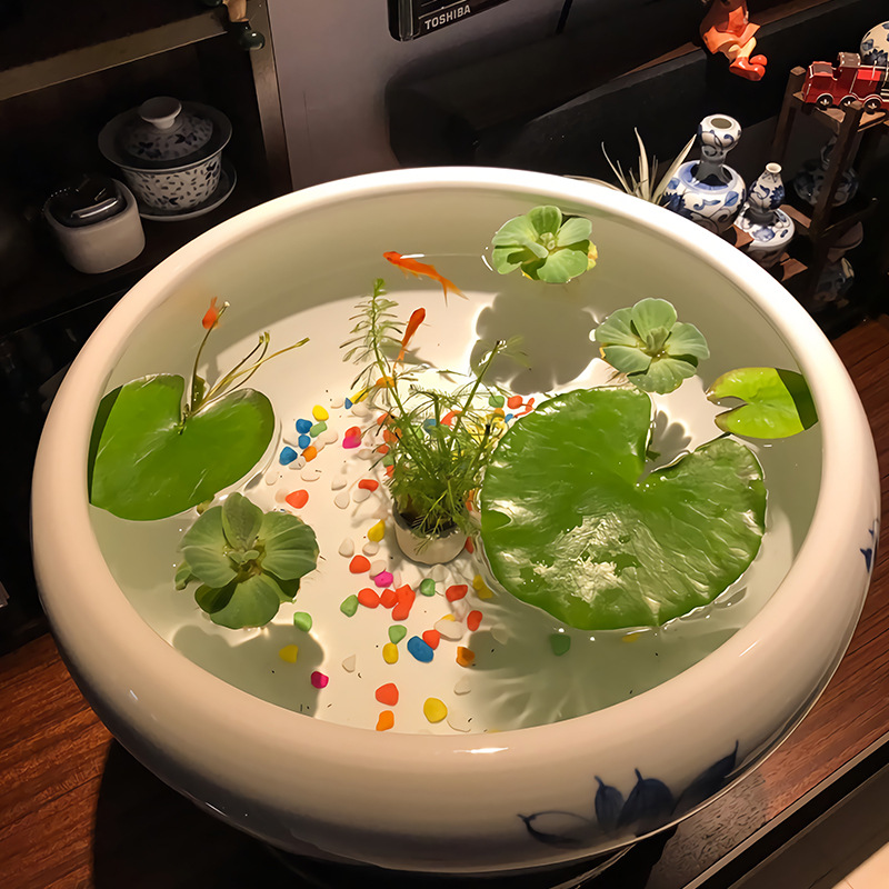 景德镇陶瓷鱼缸养鱼盆小型桌面陶瓷圆形小鱼缸睡莲盆手绘金鱼龟缸