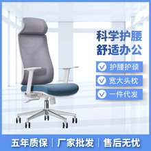 电脑椅家用人体工学椅 网布旋转办公椅简约现代舒适平躺老板椅