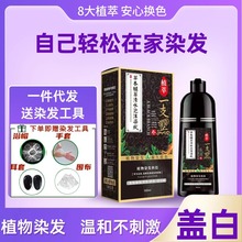 孝道纯黑色植物染发剂染头发自己在家染自然黑泡泡遮白发膏