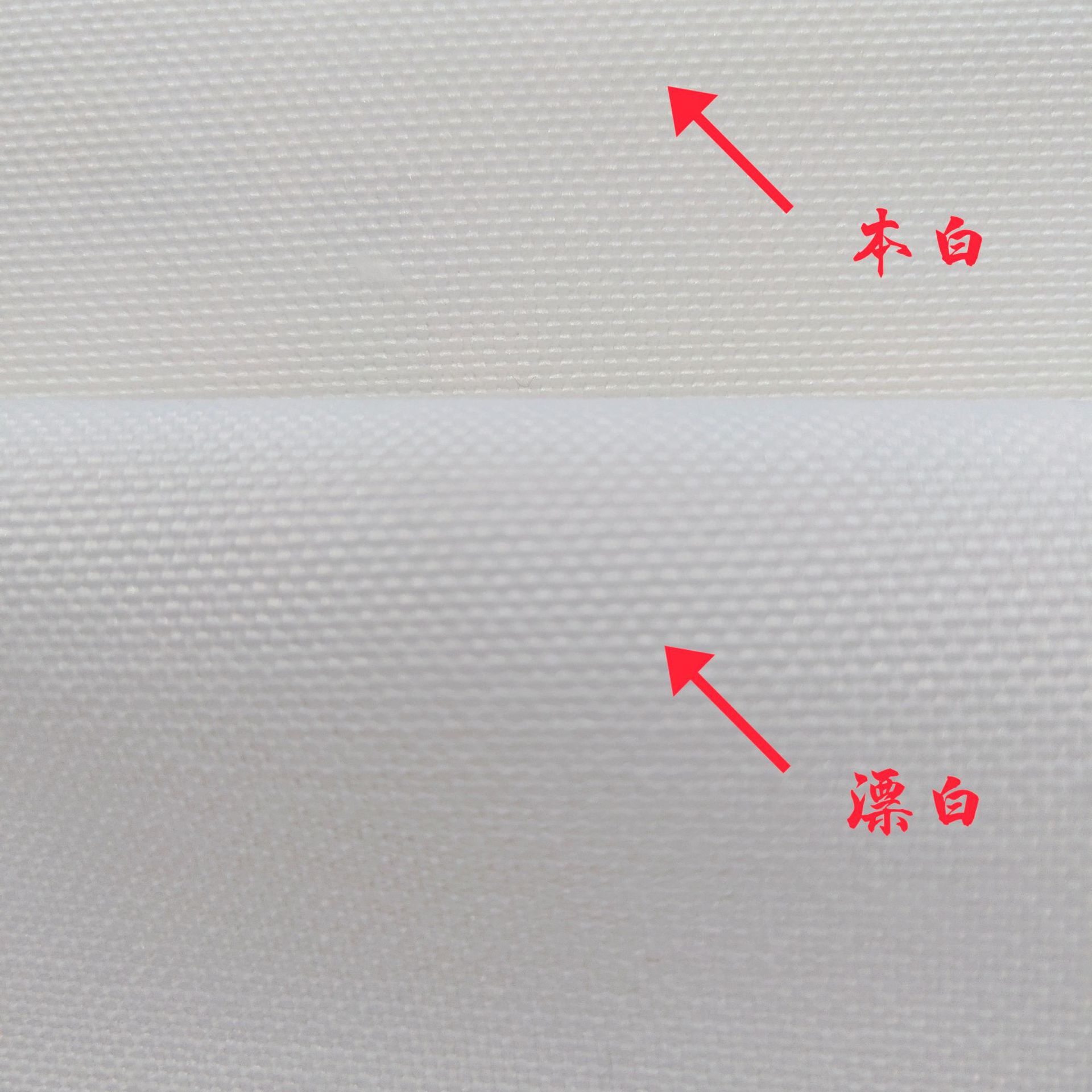 12安全涤加密本白 半漂 漂白 热升华 数码印花 箱包面料 厂家直销