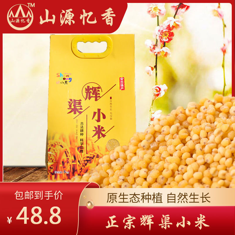 特级黄小米山东特产安丘辉渠小米5斤手提袋包装孕妇月子米宝宝米