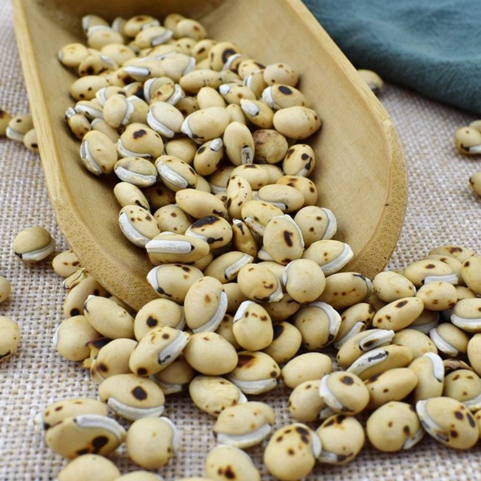 药食同源炒白扁豆泡茶中药材农家杂粮白扁豆100克500克包邮批发