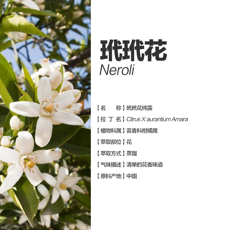 阿甘树玳玳花纯露neroli