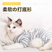 猫咪衣服春季薄款英短布偶小奶猫无毛猫小狗潮牌春夏宠物狗狗衣服