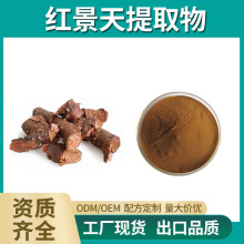 红景天提取物10:1 水溶性浓缩粉 食品级 产地原料提取 现货包邮