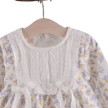 6个月女宝宝秋装公主裙0-1岁女童长袖碎花洋气小裙子婴儿衣服