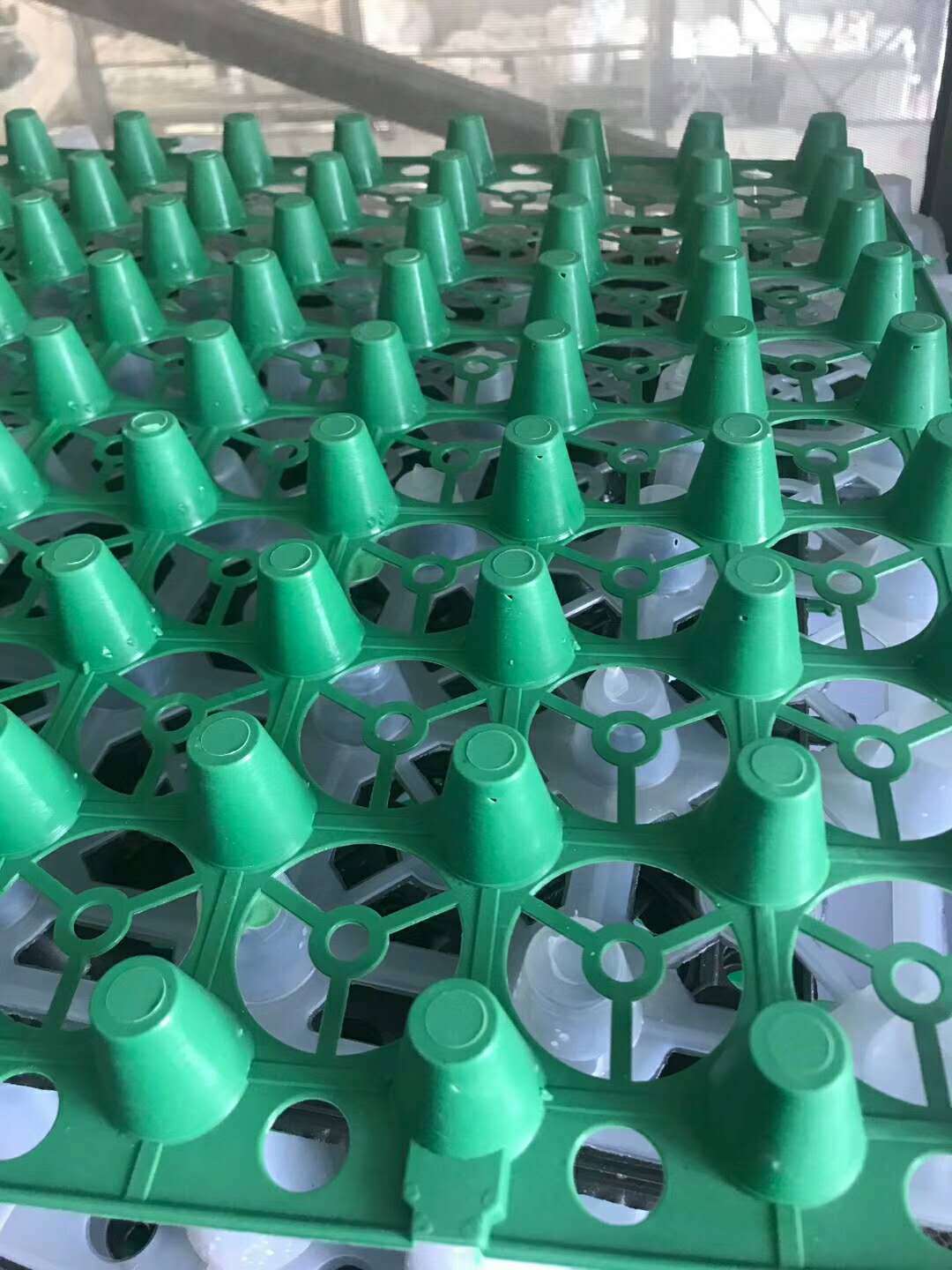 蓄排水板楼顶绿化蓄水板 滤水保湿蓄水板 屋顶花园种菜蓄排水板