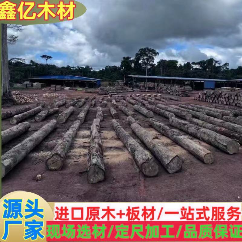 批发乌金木小斑马原木 赛鞋木豆实木家具防腐木 小斑马大斑马板材