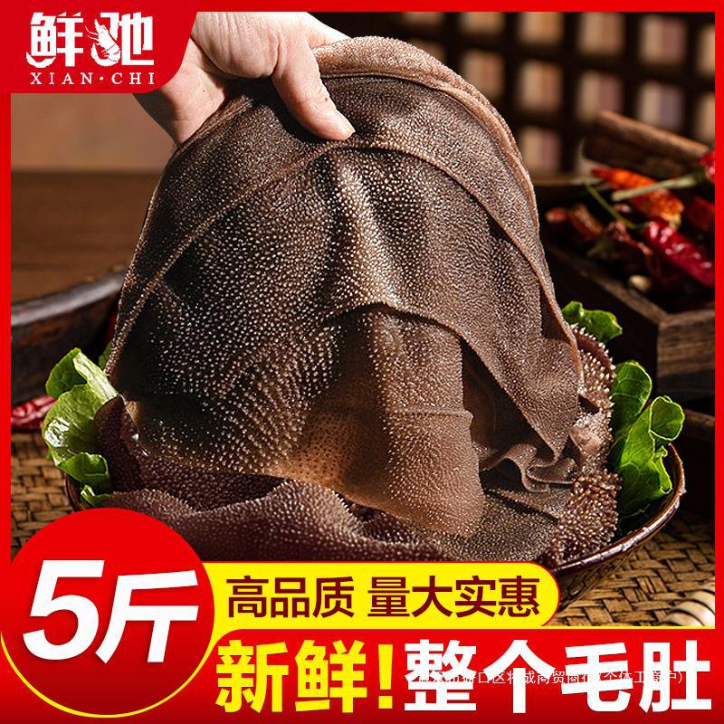食材牛百叶牛肚肚牛杂整个千层5斤商用批发火锅毛肚新鲜半成品黑