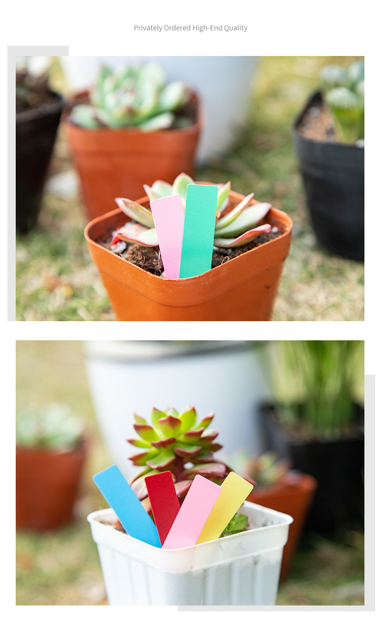 一字形花卉小标签多肉植物pvc挡水多肉标签牌园艺苗木花盆插地牌