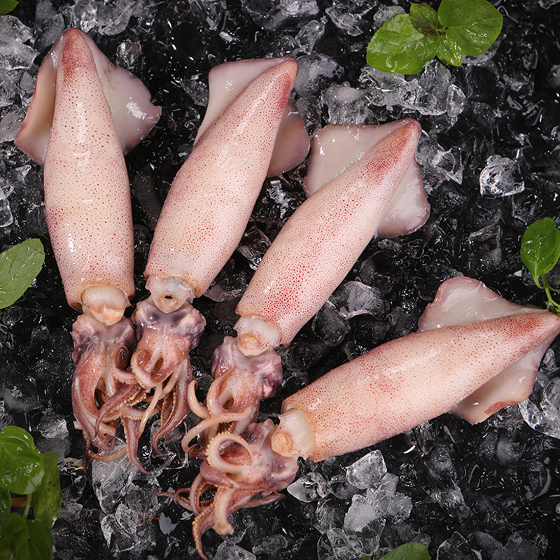 海兔子满籽墨鱼仔新鲜海兔鲜活带籽笔管鱼大乌贼籽乌鱿鱼海鲜水