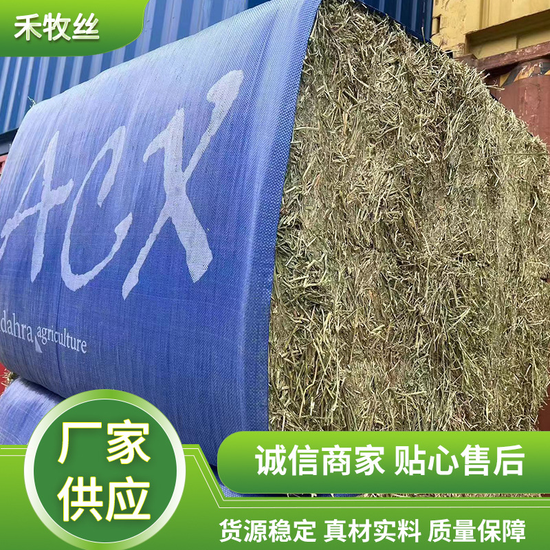 宠物零食苜蓿草 紫花高蛋白苜蓿草 美国草苜蓿草奶牛饲料-阿里巴巴