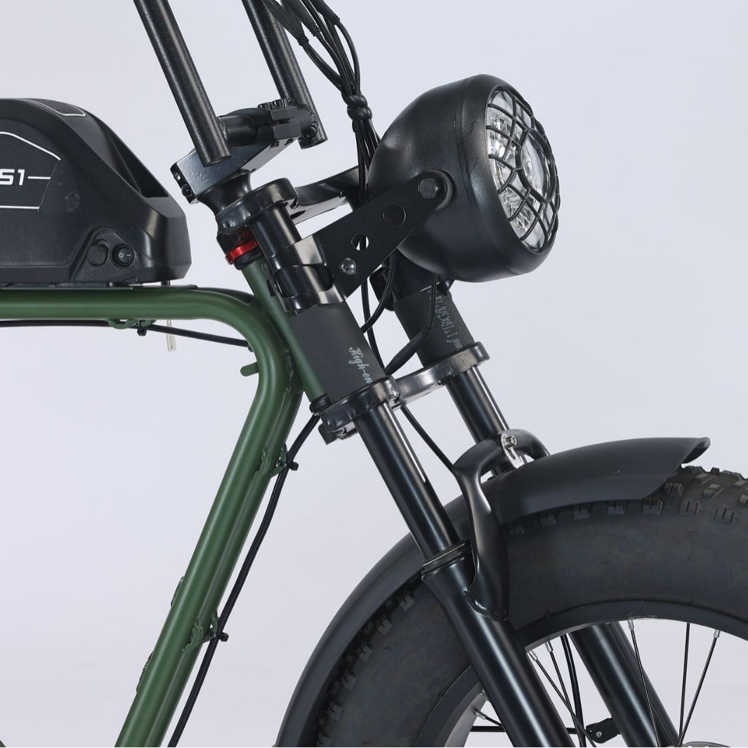 super73同款s1网红复古越野电动车雪地助力宽轮胎山地自行车成人 图片