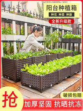 阳台蔬菜种植箱家庭养花种菜神器塑料花盆楼顶种菜盆户外花箱花槽