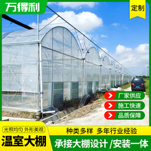 温室蔬菜大棚种植养殖温室大棚连栋连体大棚 大棚骨架安装建设