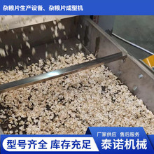 粮食杂粮挤扁机泰诺即食早餐豆片米片压片设备