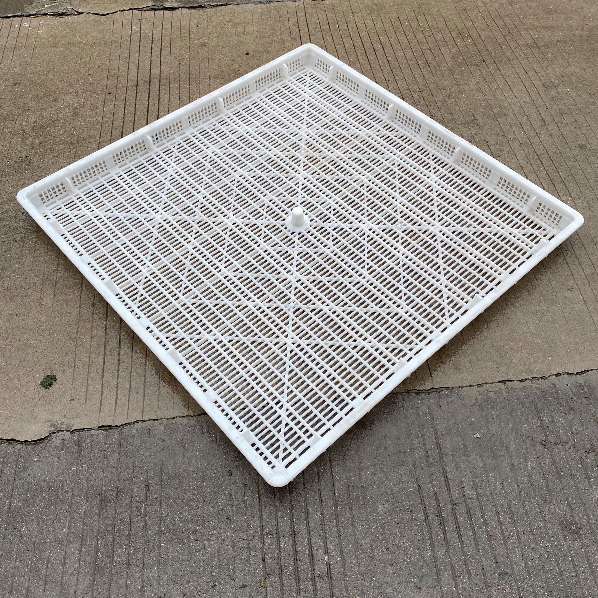 塑料烘干盘食品干果晾晒盘冷冻器1080网格冷冻塑胶托盘沥水海鲜筐