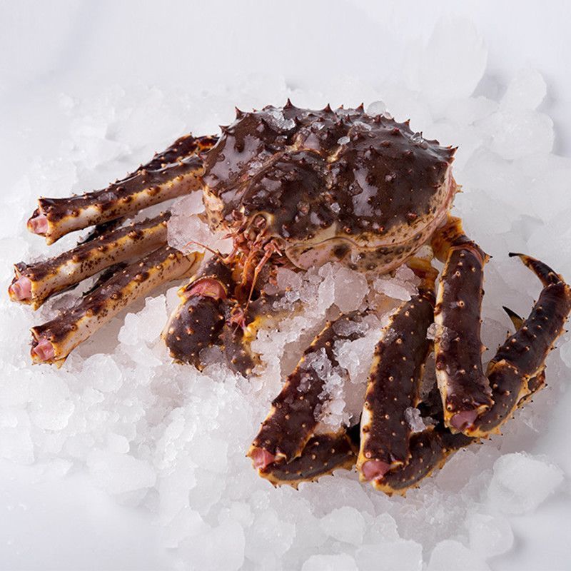 帝王蟹鲜活阿拉斯加活冻3-10斤特大速冻海鲜水产螃蟹亚马逊独立站