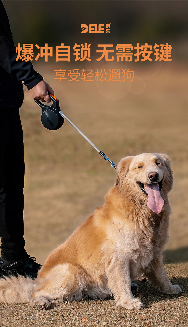 5米加长狗狗牵引绳遛狗绳子金毛拉布拉多宠物中大型犬抗爆冲狗链