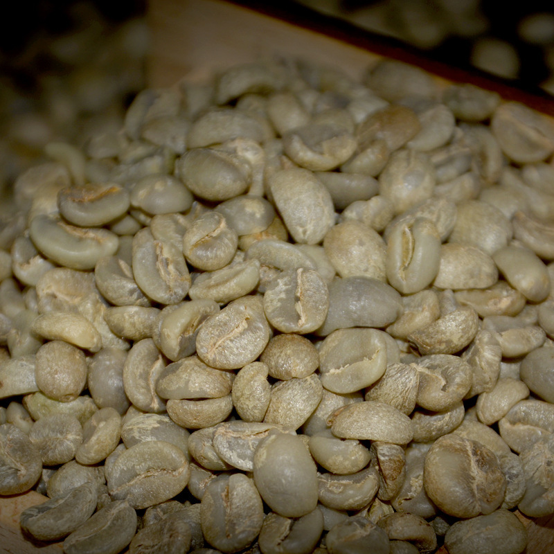 精选云南越谷咖啡生豆 日晒水洗青咖啡豆 阿拉比卡种咖啡生豆批发