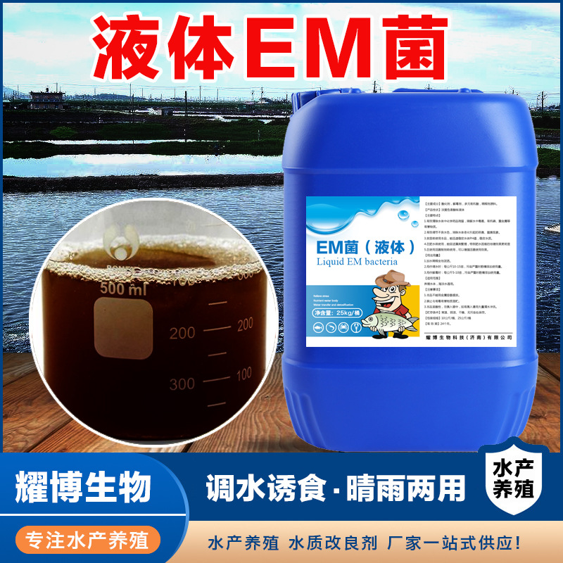 水产养殖em菌液体鱼虾蟹养殖分解淤泥农用微生物菌剂em菌厂家菌种