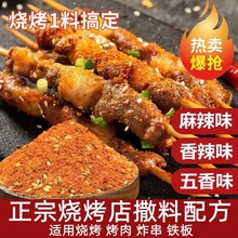 孜然粉烧烤调料撒料家用烧烤料商用调味料粉烤羊肉串套装全套配料