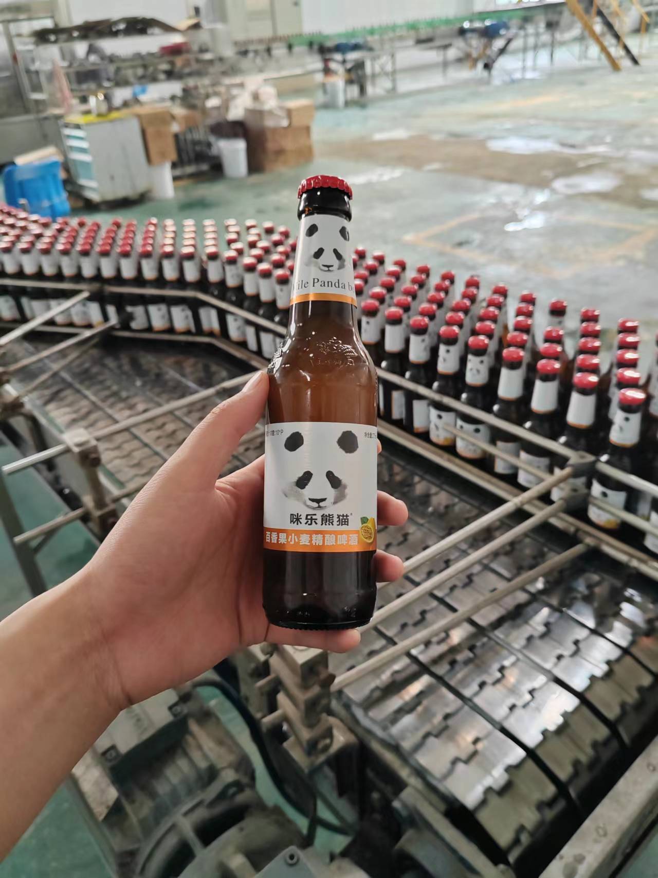 熊猫精酿啤酒白啤果味批发夜场餐饮酒吧小酒馆静吧酒水275ml 24瓶